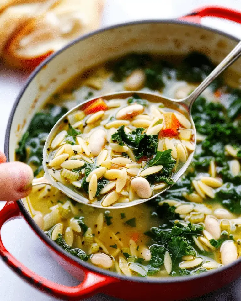 Kale, White Bean and Orzo Soup